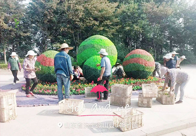 70周年主題仿真綠雕造型施工現場